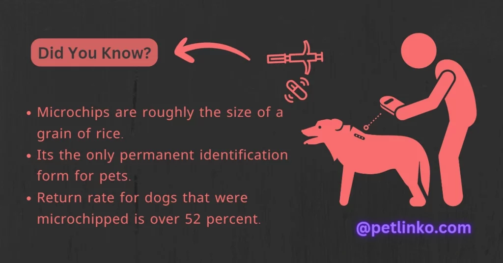 facts of microchip implementation in dog