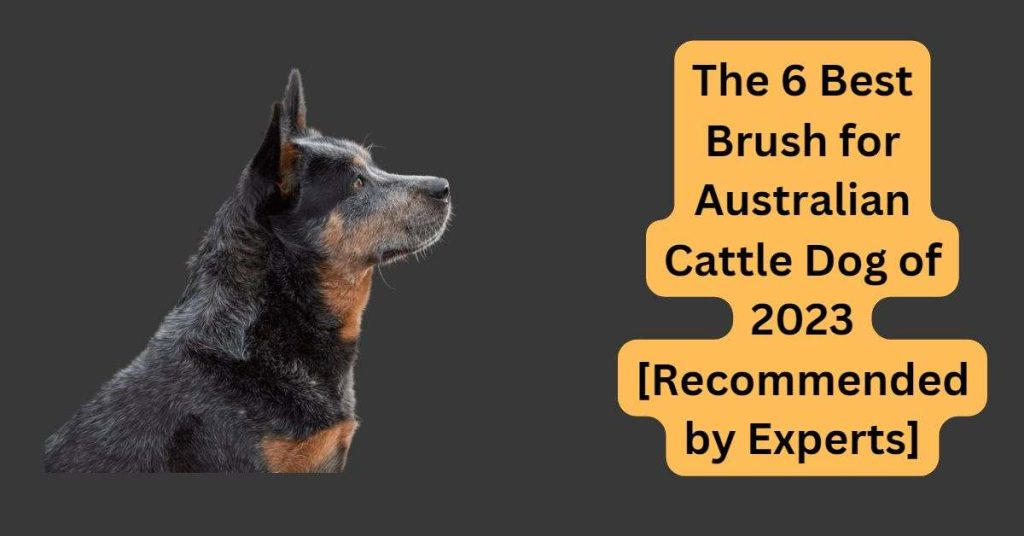 best brush for Australian cattle dog