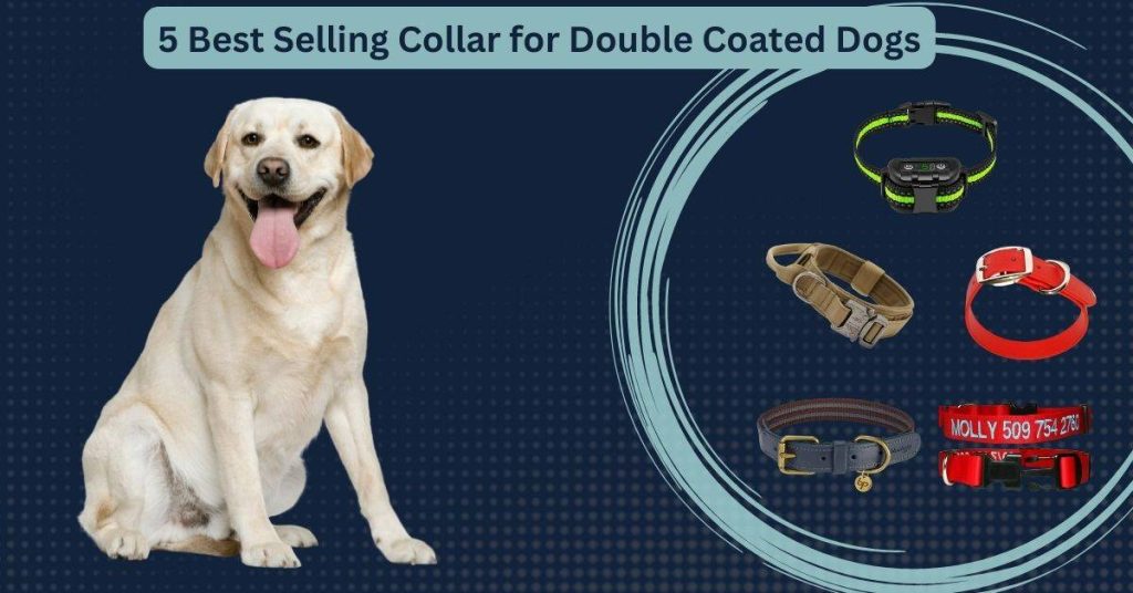 Best Collar for Double Coated Dogs of 2023