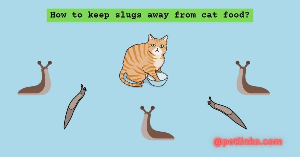 keep slugs away from cats food