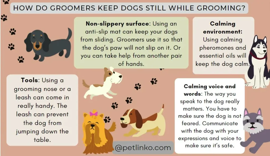 tips to keep dog stiil when grooming