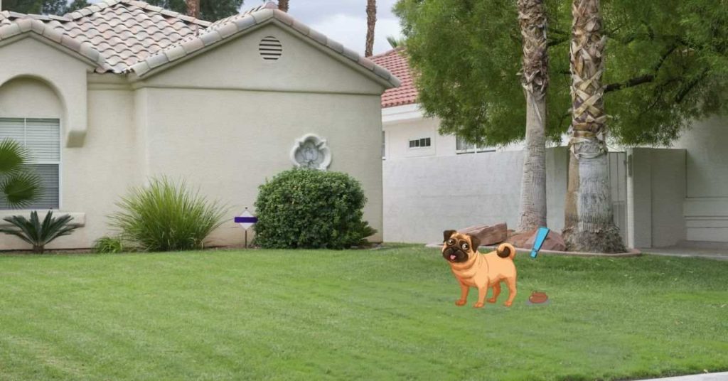 best camera to catch dog pooping in yard