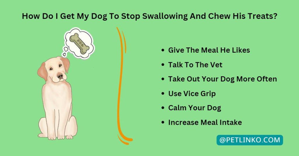 How to get your dog to chew his treats?
