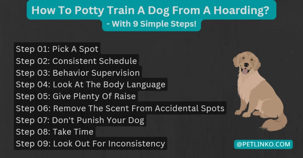 how to potty train a dog from hoarding