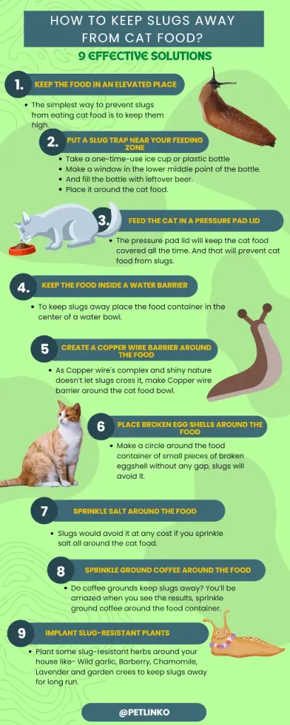 9 solutions to keep slugs away from cat food.
