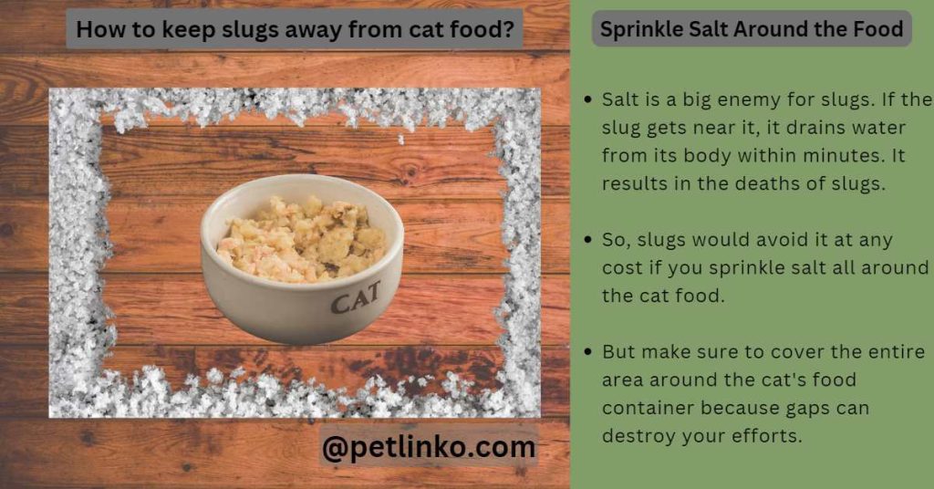 How to Keep Slugs Out of Cat Food? (9 Ways)